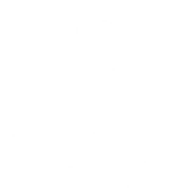 Mirror Finish Detailing